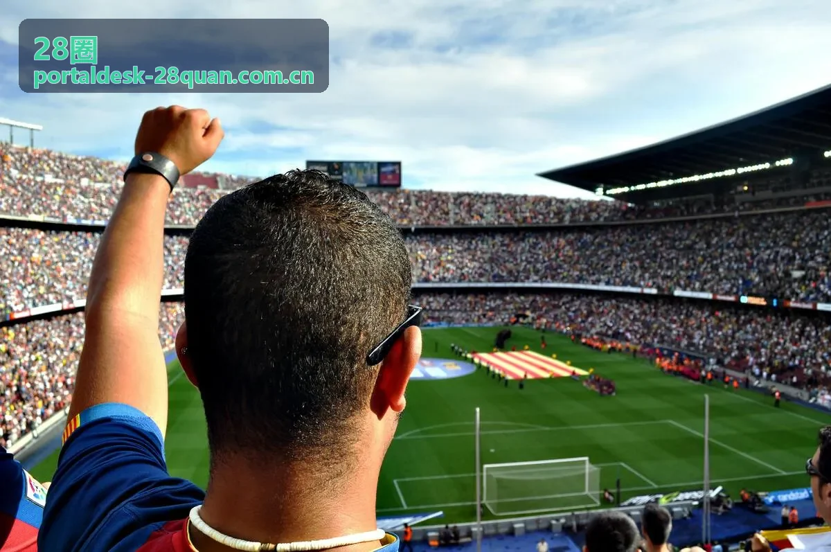 28圈竞技赛事专业组织